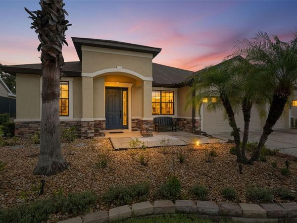 7929 HAMPTON LAKE DRIVE , TAMPA, FL 33647