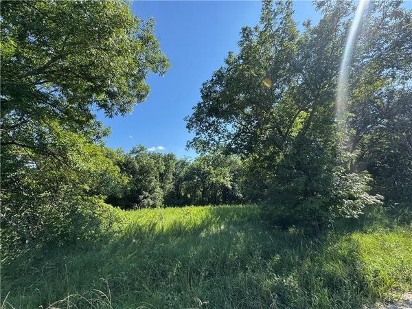 Fishing River Road, Excelsior Springs, MO 64024