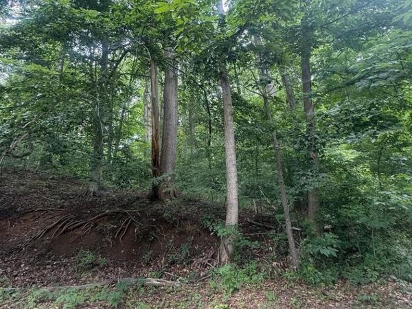 4400 WOODVIEW LANE , PRINCE FREDERICK, MD 20678