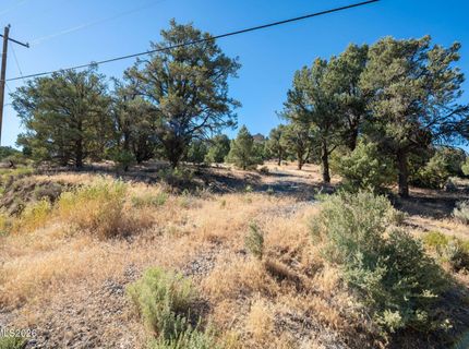 21630 Sazarac Road, Reno, NV 89521 Photo