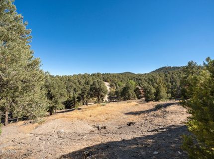21630 Sazarac Road, Reno, NV 89521 Photo