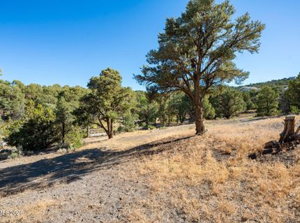 21630 Sazarac Road, Reno, NV 89521 Photo