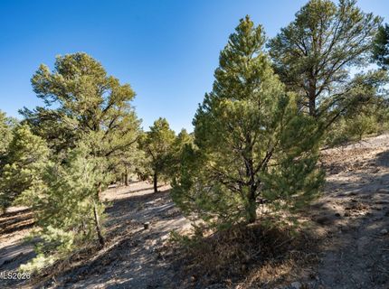 21630 Sazarac Road, Reno, NV 89521 Photo