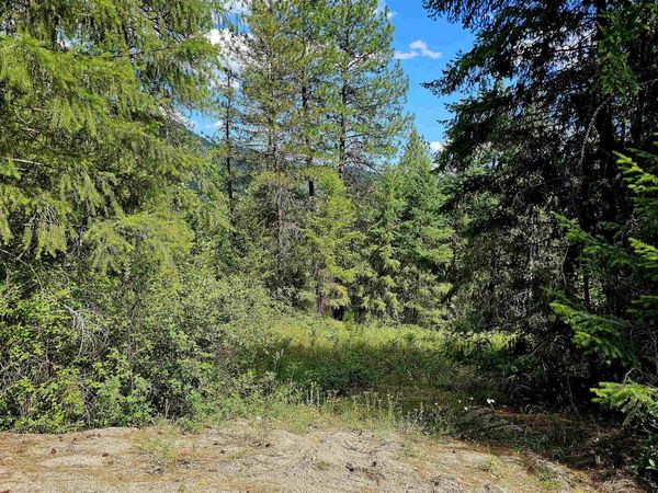 10 Humes Rd, Kettle Falls, WA 99141