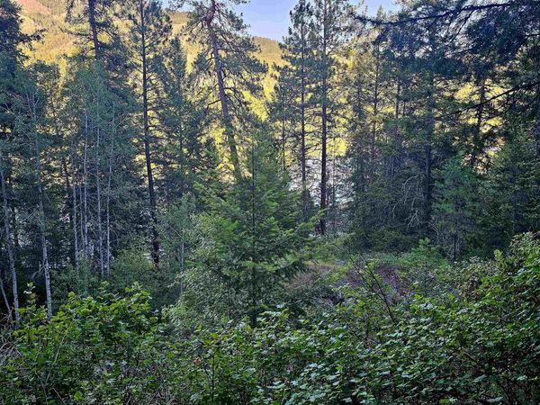 10 Humes Rd, Kettle Falls, WA 99141