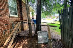 747 Holloway Avenue photo 4