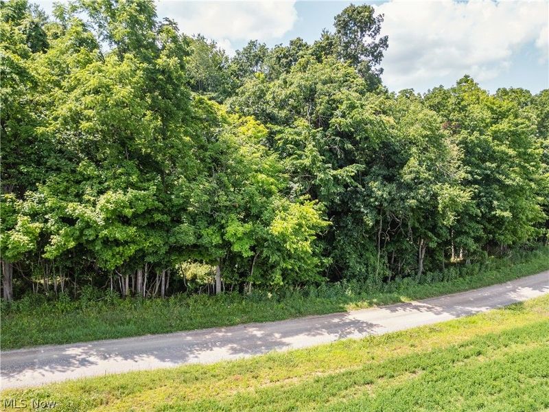 Lot 1 Township Rd 51, Somerset, OH 43783 Photo 10