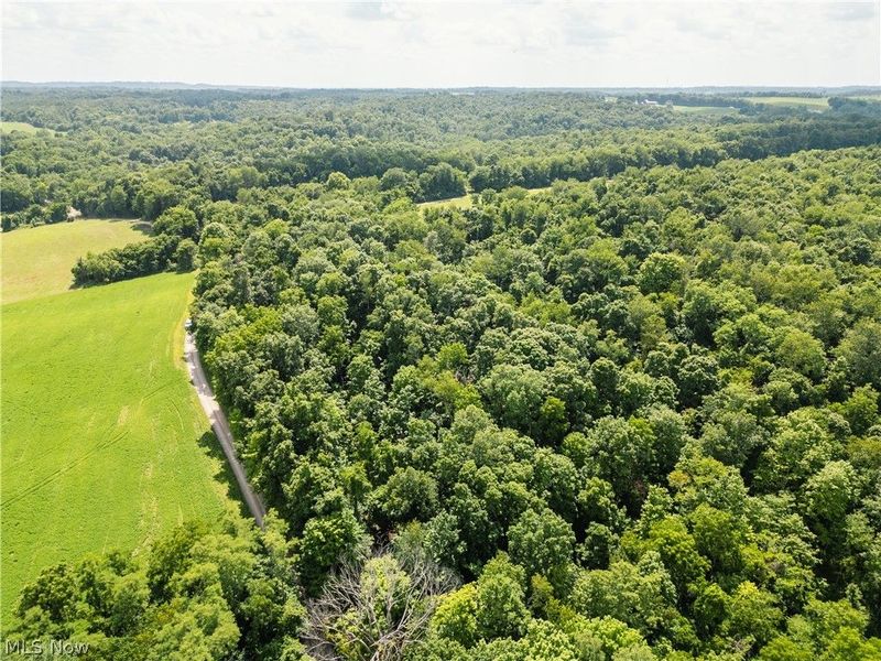 Lot 1 Township Rd 51, Somerset, OH 43783 Photo 12
