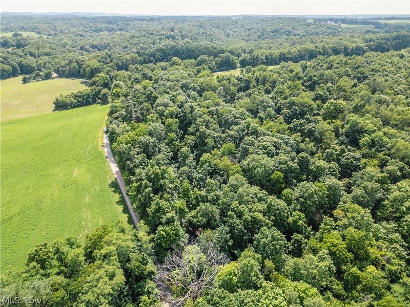Lot 1 Township Rd 51, Somerset, OH 43783 Photo 13