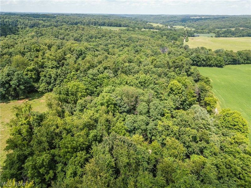 Lot 1 Township Rd 51, Somerset, OH 43783 Photo 14