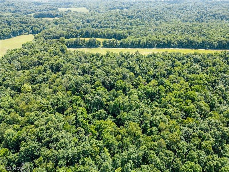Lot 1 Township Rd 51, Somerset, OH 43783 Photo 2