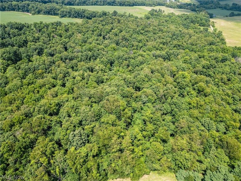 Lot 1 Township Rd 51, Somerset, OH 43783 Photo 4