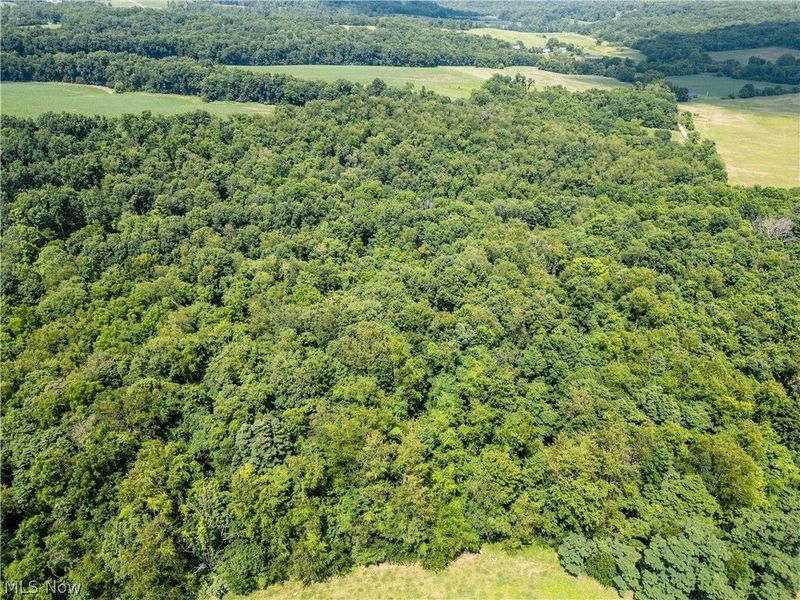 Lot 1 Township Rd 51, Somerset, OH 43783 Photo 5