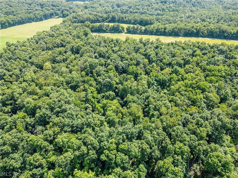 Lot 2 Township Rd 51, Somerset, OH 43783 Photo 2