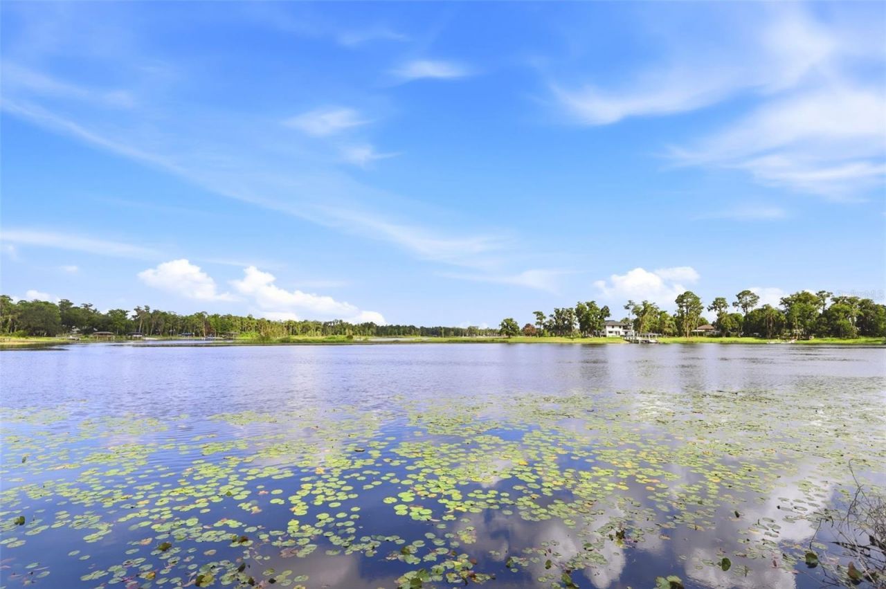 9813 Lake Georgia Drive, Orlando, FL 32817 Photo