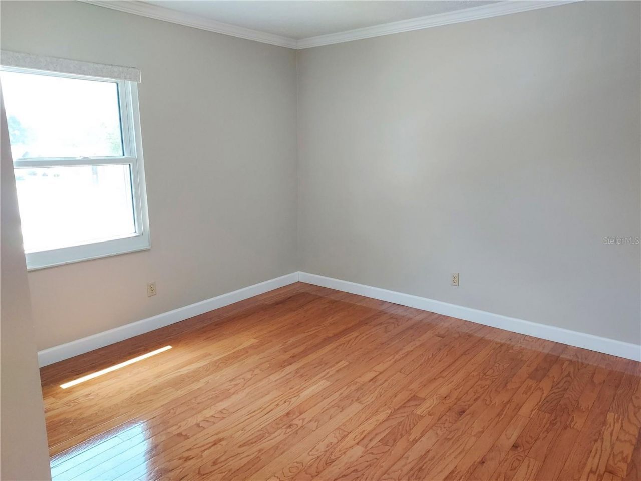 702 Hyssop Place, Brandon, FL 33510 Photo