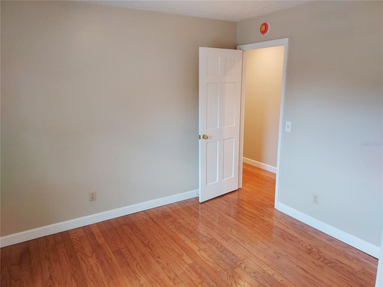 702 Hyssop Place, Brandon, FL 33510 Photo