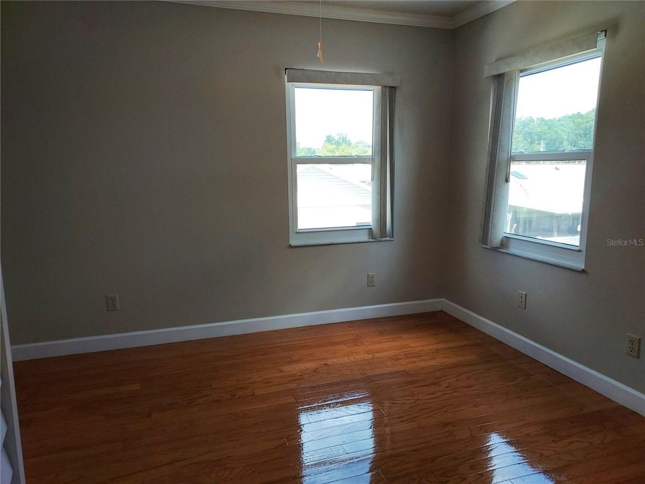 702 Hyssop Place, Brandon, FL 33510 Photo