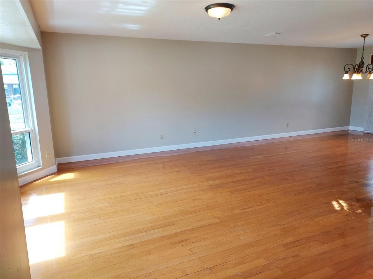 702 Hyssop Place, Brandon, FL 33510 Photo
