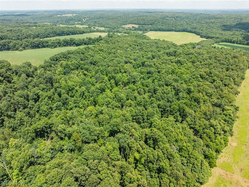 Lot 3 Township Rd 51, Somerset, OH 43783 Photo 11