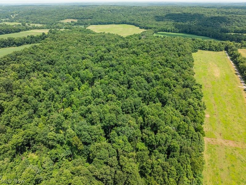 Lot 3 Township Rd 51, Somerset, OH 43783 Photo 12
