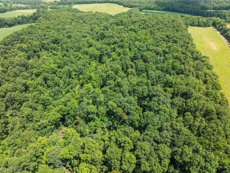 Lot 3 Township Rd 51, Somerset, OH 43783 Photo 13