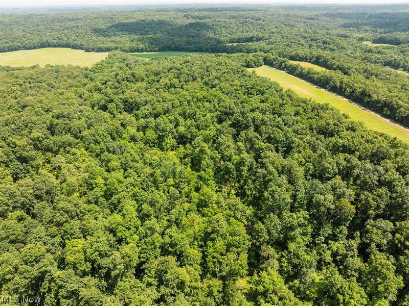 Lot 3 Township Rd 51, Somerset, OH 43783 Photo 15