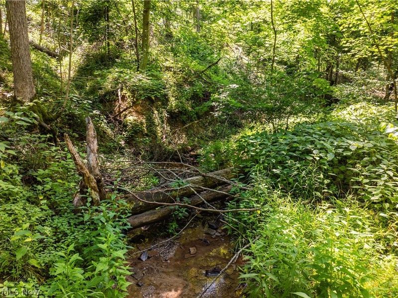 Lot 3 Township Rd 51, Somerset, OH 43783 Photo 3