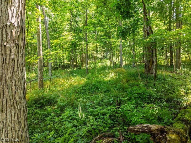 Lot 3 Township Rd 51, Somerset, OH 43783 Photo 7
