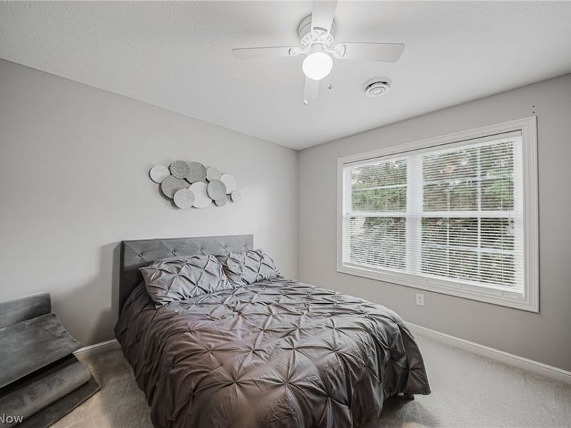 985 W Martin Avenue, Amherst, OH 44001 Photo 26