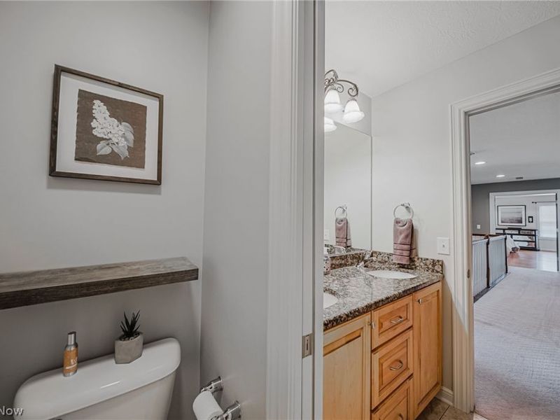 985 W Martin Avenue, Amherst, OH 44001 Photo 28