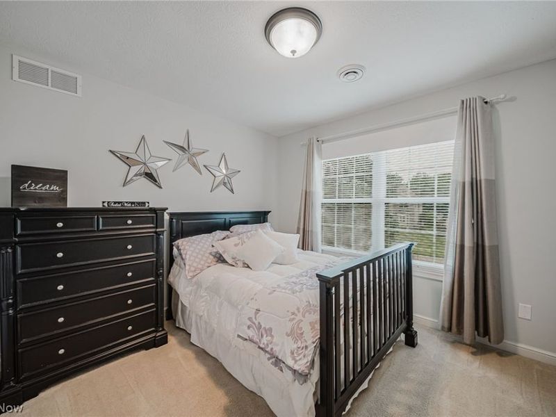 985 W Martin Avenue, Amherst, OH 44001 Photo 31
