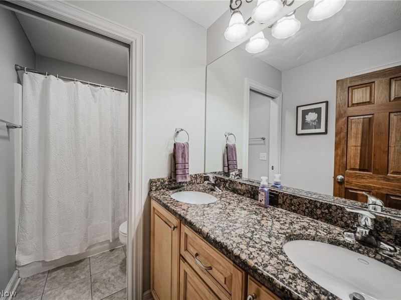 985 W Martin Avenue, Amherst, OH 44001 Photo 33