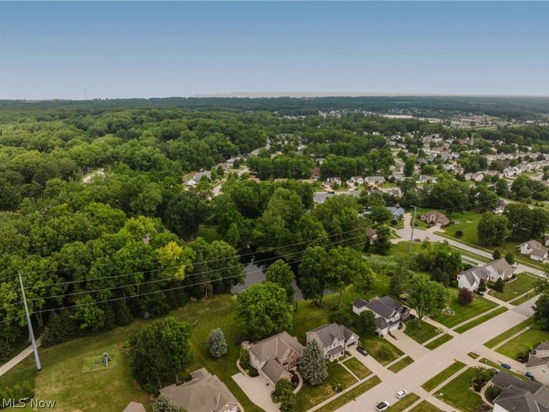 985 W Martin Avenue, Amherst, OH 44001 Photo 5