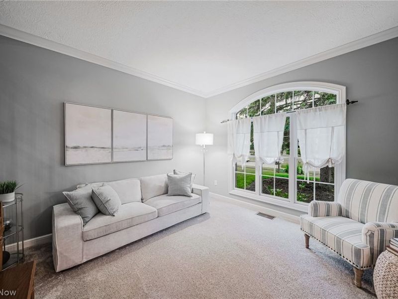 985 W Martin Avenue, Amherst, OH 44001 Photo 8