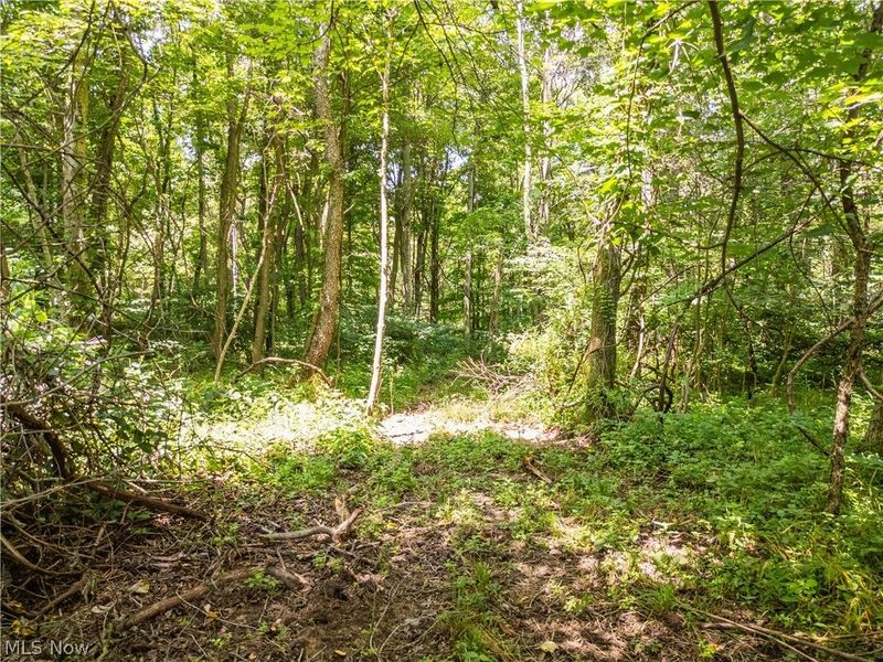 Lot 4 Township Rd 51, Somerset, OH 43783 Photo 11