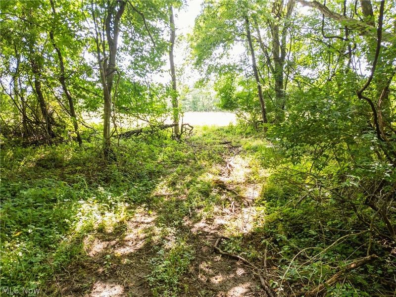 Lot 4 Township Rd 51, Somerset, OH 43783 Photo 12