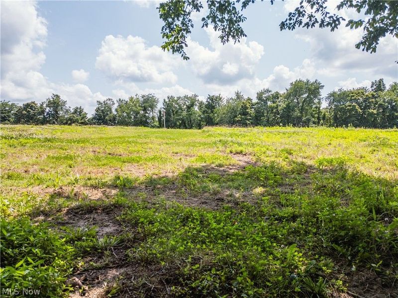 Lot 4 Township Rd 51, Somerset, OH 43783 Photo 13