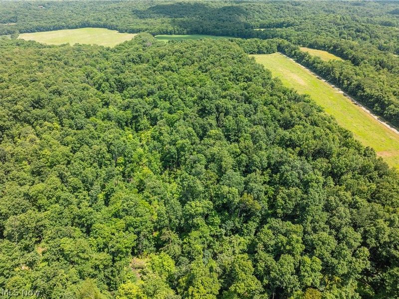 Lot 4 Township Rd 51, Somerset, OH 43783 Photo 20