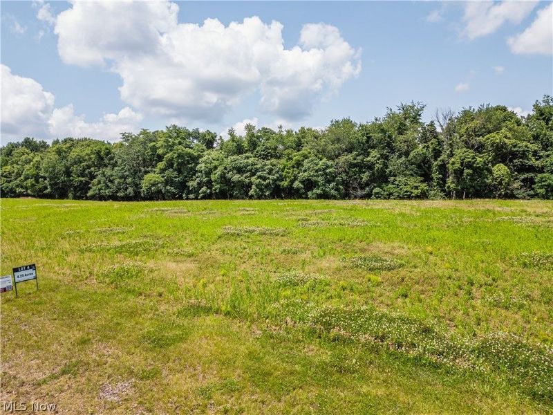 Lot 4 Township Rd 51, Somerset, OH 43783 Photo 4