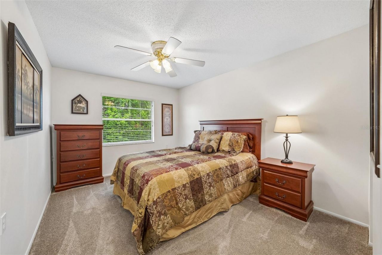 10735 Buckfield Drive , Port Richey, FL 34668 Photo