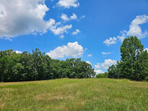 OLD FERRY RD, Bath Springs, TN 38311
