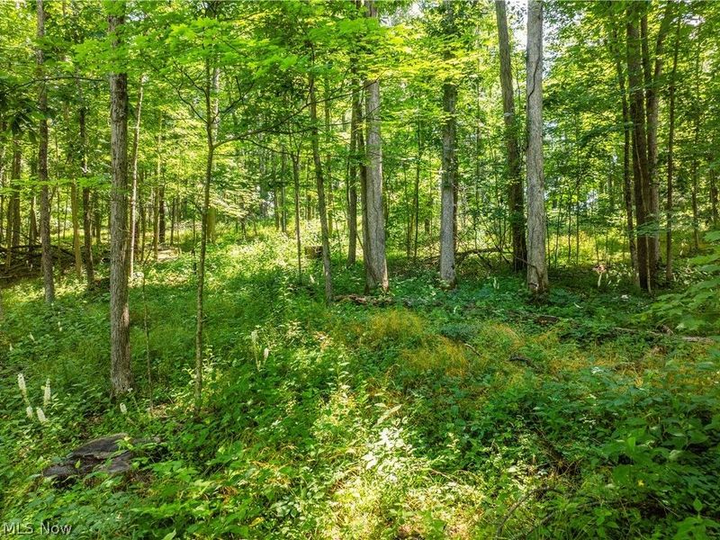 Lot 5 Township Rd 51, Somerset, OH 43783 Photo 6