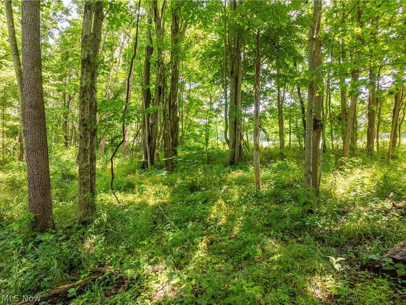 Lot 5 Township Rd 51, Somerset, OH 43783 Photo 7