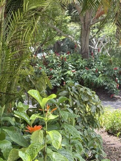 804 Cypress Grove Lane, Unit 508, Pompano Beach, FL 33069 Photo