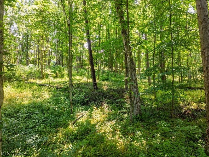 Lot 6 Township Rd 51 , Somerset, OH 43783 Photo 3