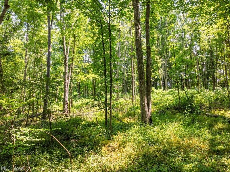 Lot 6 Township Rd 51 , Somerset, OH 43783 Photo 5