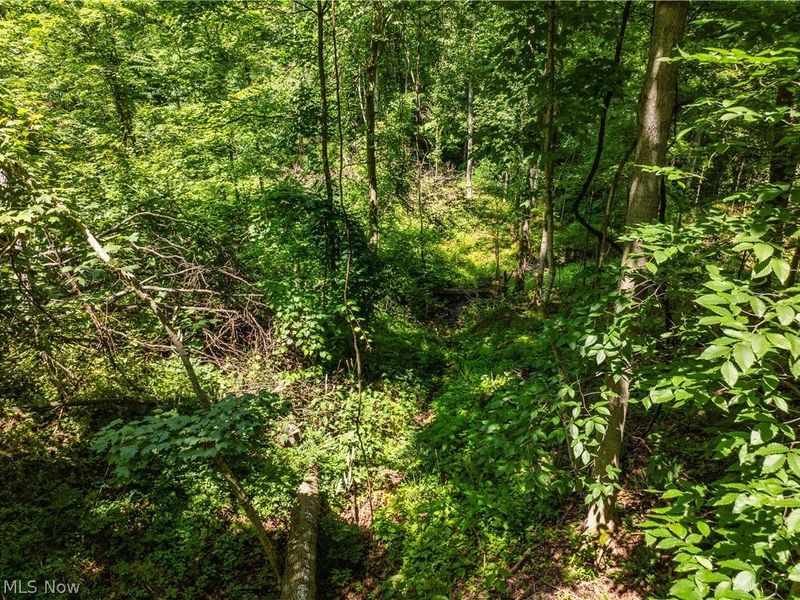 Lot 6 Township Rd 51 , Somerset, OH 43783 Photo 8