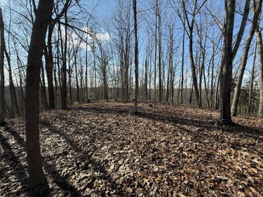 191 The Reserve At Cliffview , Zoe, KY 41397
