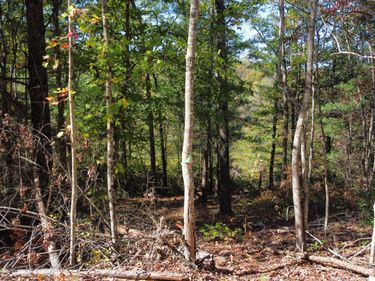Lot #47 The Reserve At Cliffview , Zoe, KY 41397
